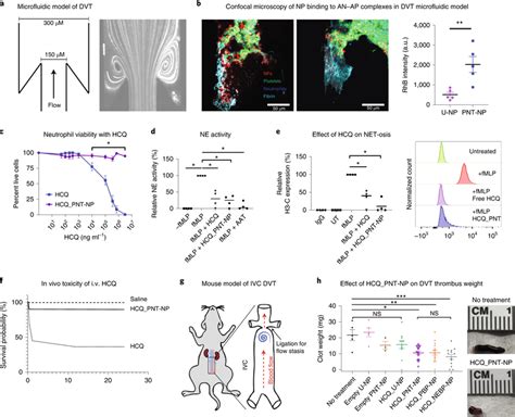 Pnt Nps Bind To Thromboinflammatory Sites And Effectively Deliver