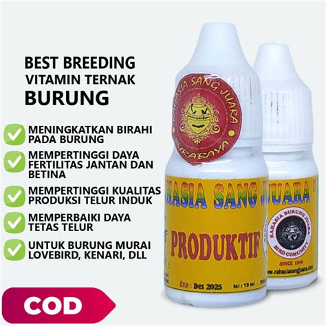 Vitamin Breeding Burung Ternak Mempertinggi Kualitas Produksi Telur