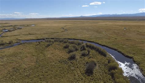 Diy Guide To Fly Fishing The North Platte River In Colorado Diy Fly