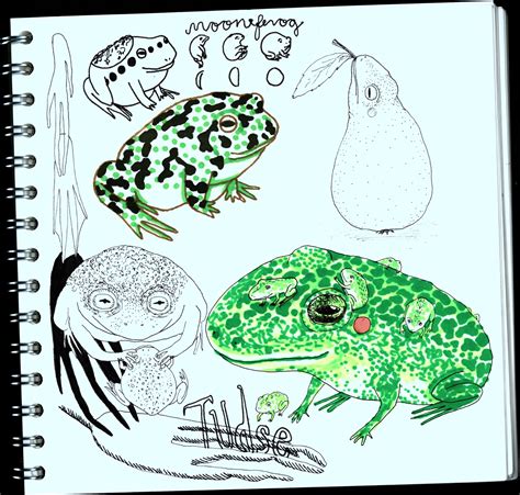 FROG AND TOAD DRAWINGS on Behance