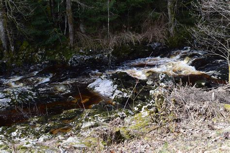 Free Images Forest Creek Wilderness River Pond Wildlife Stream