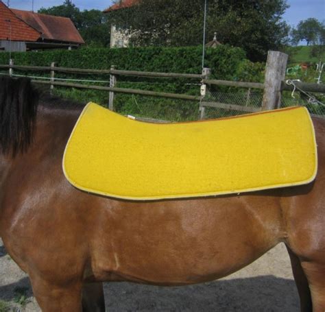 Surfaix De Voltige E Muller Equipement Equestre