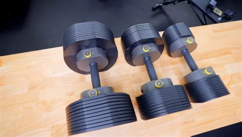 7 Advantages of Using an Adjustable Dumbbell Set During Your Workout ...