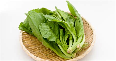 Mustasa/Mustard Greens: Health Benefits and Nutritional Facts – Ecosprout