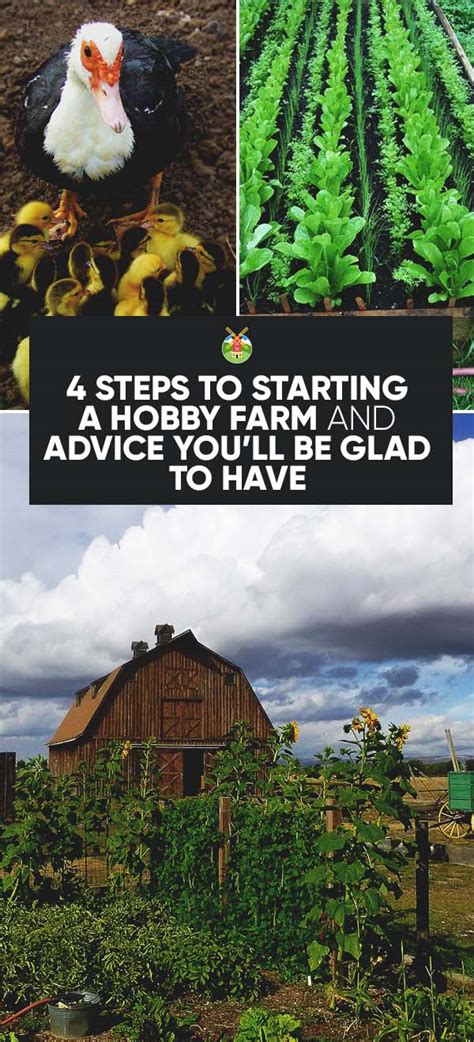 4 Steps to Starting a Hobby Farm and Advice You'll Be Glad to Have