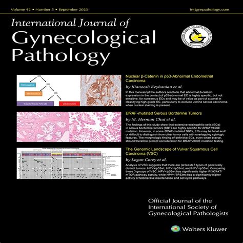 Ovarian Mucinous Borderline Tumor With Intraepithelial Carci