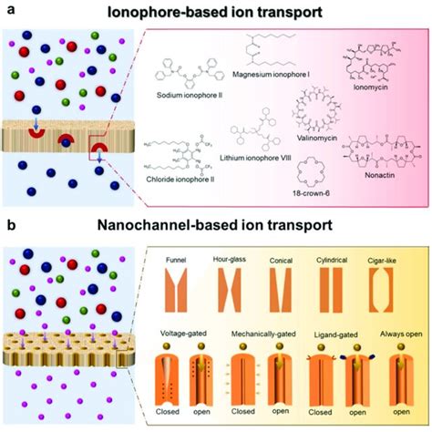 Schematic Diagram Of Two Strategies For Ion Selective Membranes A