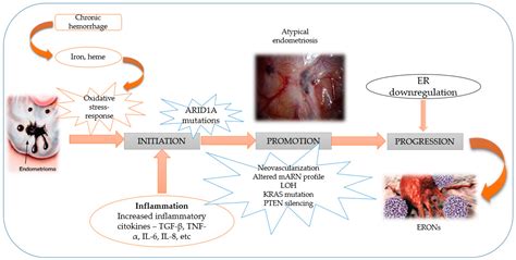 Jcm Free Full Text Circulating Mirnas As Biomarkers For