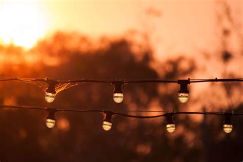 Summer Evening Background