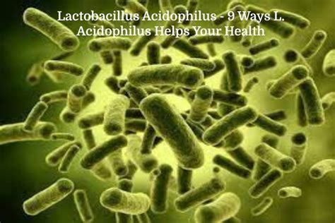 Lactobacillus Acidophilus - 9 Ways L. Acidophilus Helps Your Health