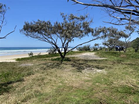 Teewah Beach Camping Area Zone 5 Cooloola Recreation Area Great