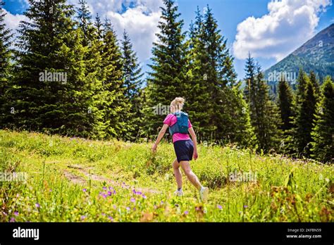 Fille blonde marchant dans la forêt Banque de photographies et dimages à haute résolution Alamy