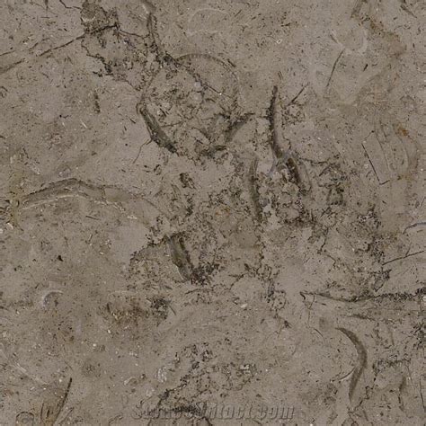 Millie Brown Limestone Brown Limestone