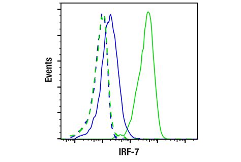 IRF-7 (E2U6L) Rabbit mAb | Cell Signaling Technology