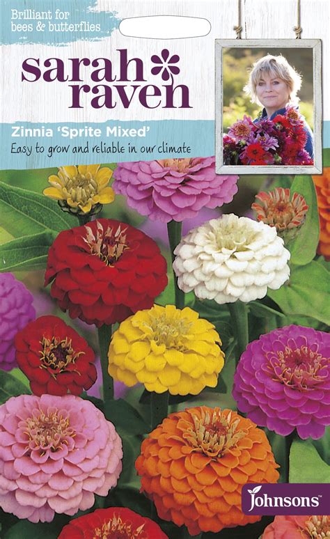 Zinnia Zinnia Elegans Envy Kopen Goedboerenindestad Nl