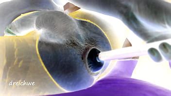 Se Lo Traga Todo Por El Culo Xvideos