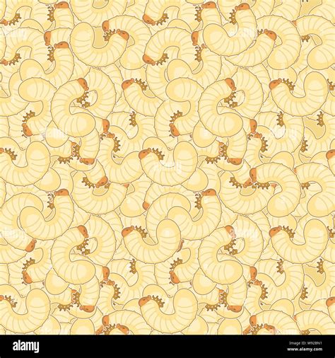 Maggot Pattern Seamless Beetle Larva Background Insect Vector Texture