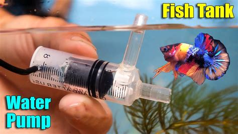 How To Make Water Pump For Mini Aquarium Fish Tank Diy At Home Step