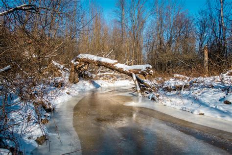 Grays Creek Explored November 24 2018 59 Richard Pilon Flickr