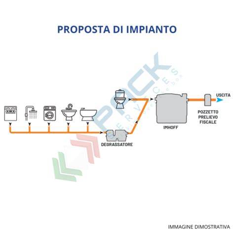 Fossa Imhoff Corpo Nervato A E Lt