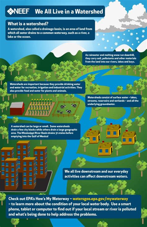 Neef Infographic We All Live In A Watershed Rain Water Collection