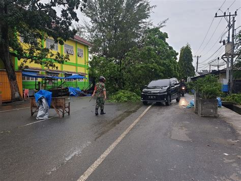 Hujan Deras Tumbangkan Pepohonan Di Jalan Lintas Kota Lhokseumawe