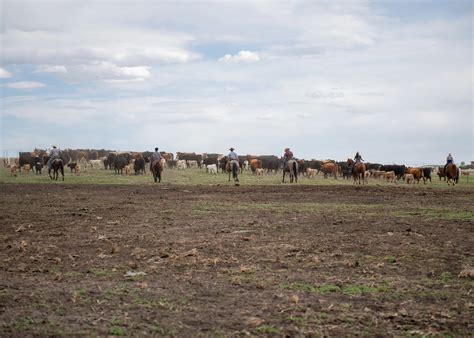 Legacy Meats | Gourmet Quality. Fair Price.