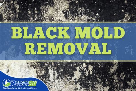 Is Black Mold In The Shower Dangerous Cleaning Blog