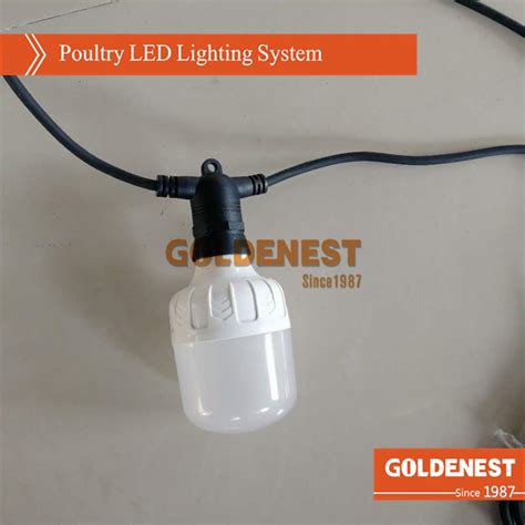 Poultry Led Lamp Tube For Breeder House China Poultry Farming Led