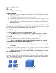 Lab Rock Cycle Questions Docx Name Bianca Acha Morfaw Ta Geol