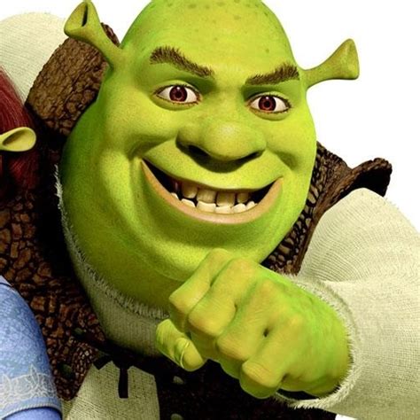 Shrek Fiona Matching PFP Profile Pictures Avatars