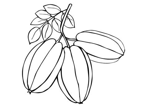 Star Fruit Coloring Pages Printable For Free Download