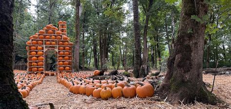 Maan Farms Has A New Themed Pumpkin Patch And Apple Treats 2023