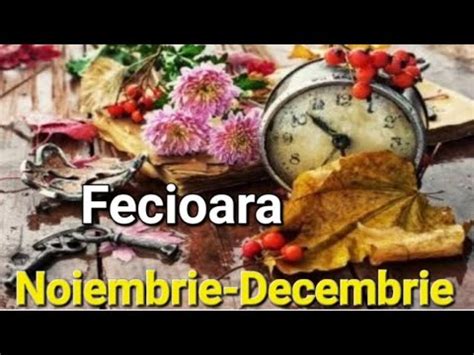 Tarot Fecioara Secrete Care Va Afecteaza Dar Va Si Elibereaza