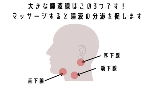 虫歯や歯周病から歯を守る唾液の役割 歯医者が解説 つむぐ歯科こども歯科北野田駅の一般歯科小児歯科