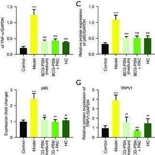 Levels Of Inflammatory Factors And Related Proteins In Skin Lesions Of