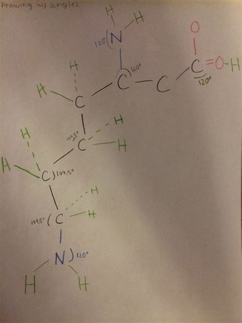 Drawing And Lewis Structure Life Of Lysine