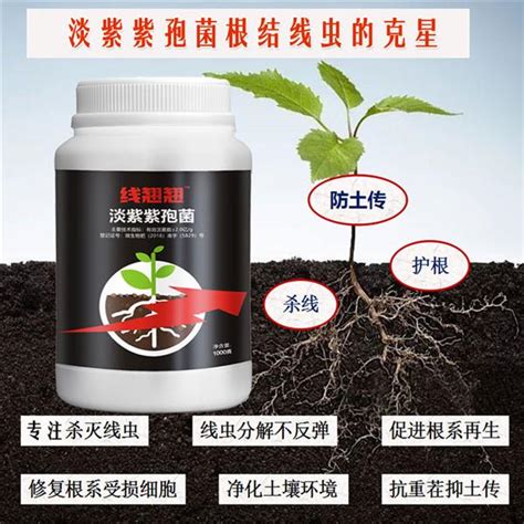 大葱会发生根结线虫病害吗？大葱种植如何预防根结线虫虫害技术交流仪器仪表技术文献阿仪网