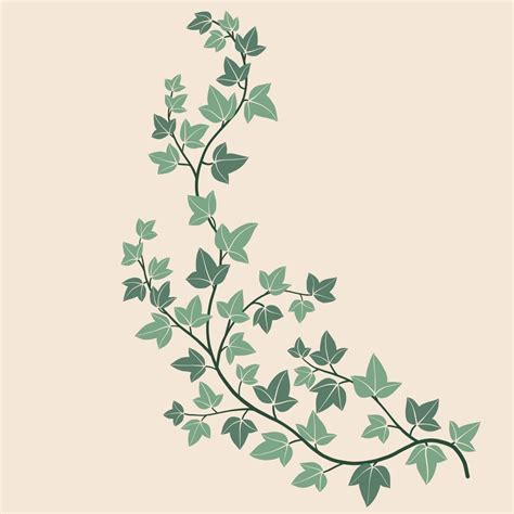 Simplicity Ivy Freehand Drawing Flat Design 12254578 Vector Art At