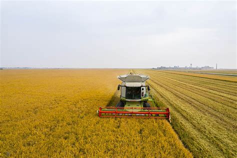 Azienda Agricola Vener A Riso Chiaro