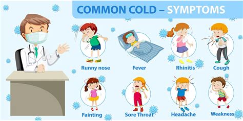 safety tips  cold  cough india bites