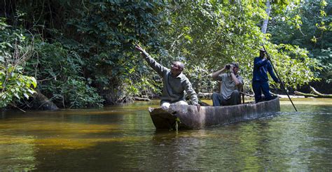 Congo Safari | African Safari | Natural Habitat Adventures