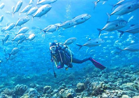 First Time Diving in Maldives - Scuba Diving in Maldives for Begginers