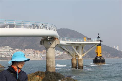 Securing Maritime Infrastructure: Strategic Protection