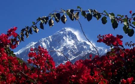 Nepal nature | background 3