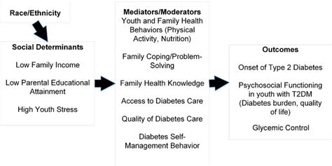 Conceptual Model Of Social Determinants Of Health And Racialethnic Download Scientific Diagram