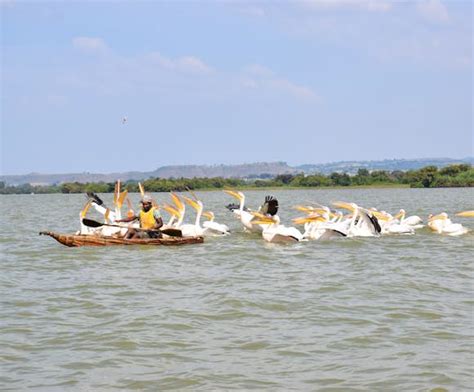 Lake Tana | Brilliant Ethiopia