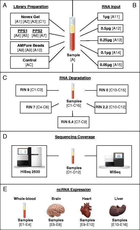 Tools for small RNA biomarker discovery using RNA-Seq | RNA-Seq Blog