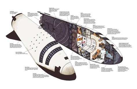 Big Falcon Rocket Cutaway Drawing in High quality