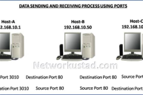 Common Network Port Numbers Networkustad